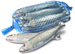 Cluizel Net of milk chocolate sardines - Chocolate Gifts Heaven