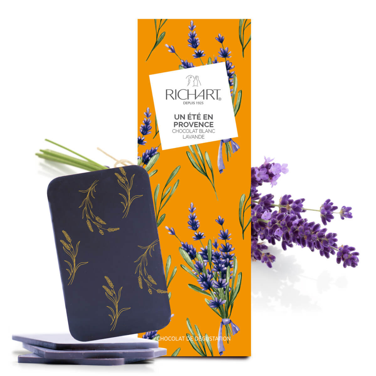 UN ÉTÉ EN PROVENCE