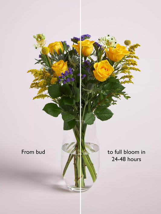 John Lewis Sunshine Mixed Hand Tied Bouquet & Chocolates