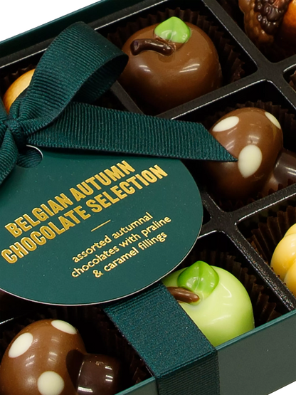 Natalie Belgian Autumn Chocolate Collection, 165g