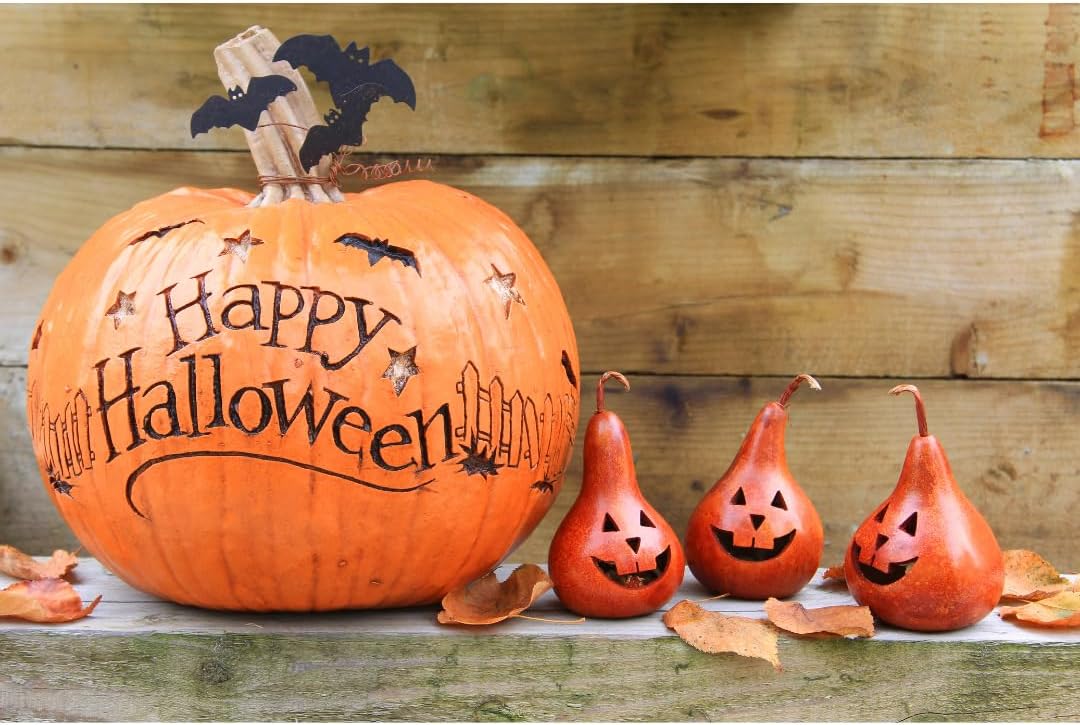 Halloween sweets & chocolates party bag fillers