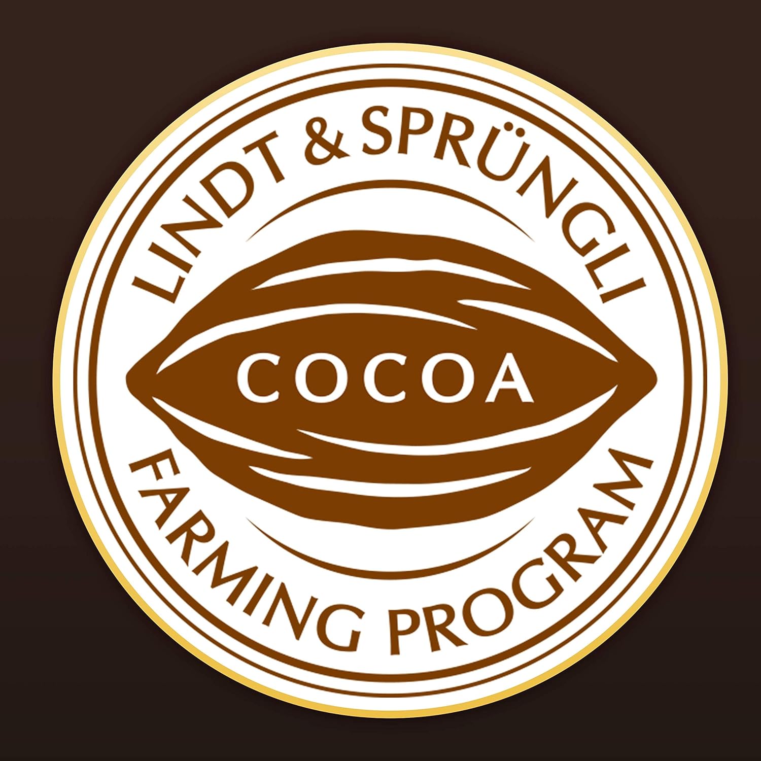 Lindt Lindor 60% Chocolate Truffles Box - Chocolate Gifts Heaven