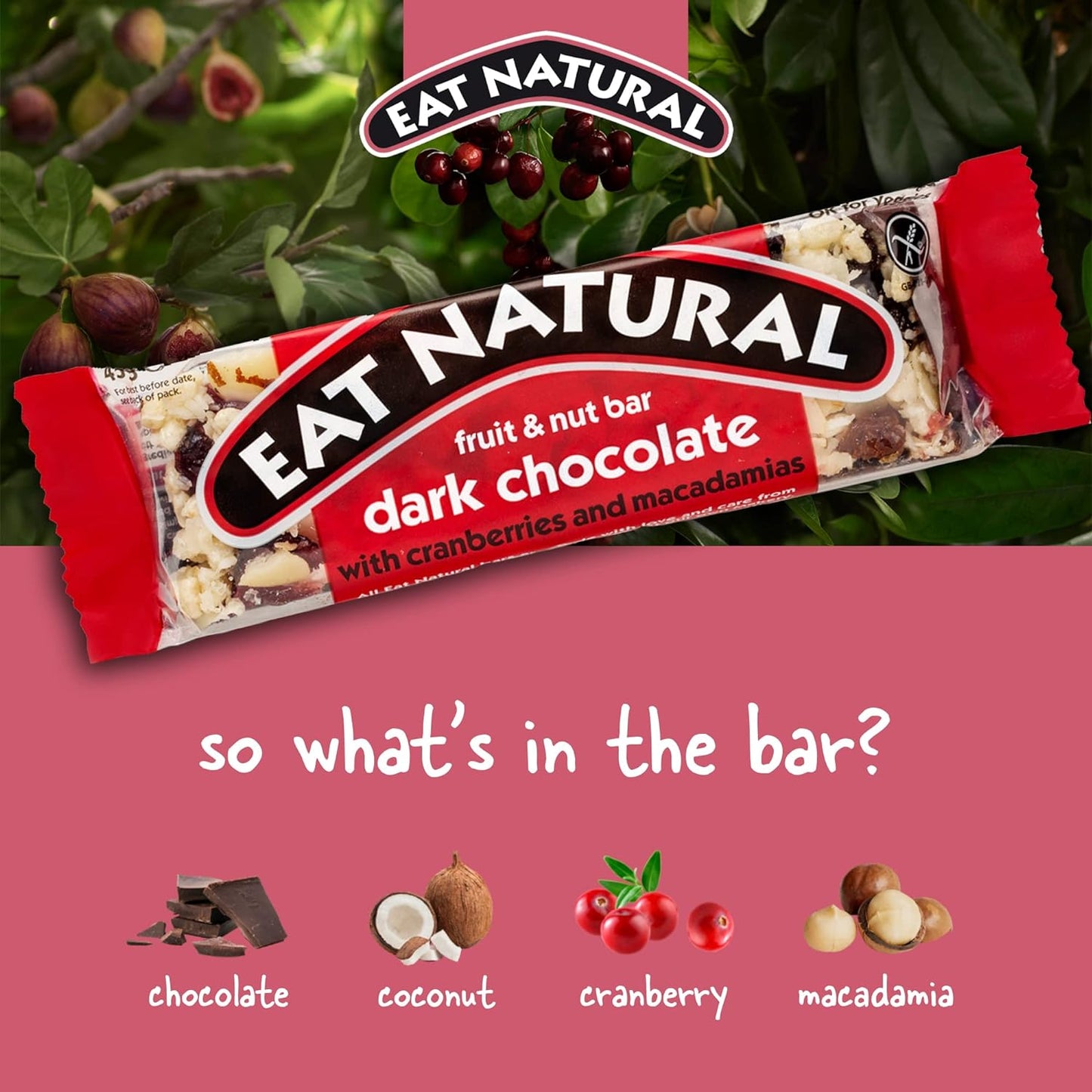 Eat Natural Bars, Gluten Free Snack Bars, Dark Chocolate with Cranberries & Macadamias, 45g (Pack of 12) - Chocolate Gifts Heaven