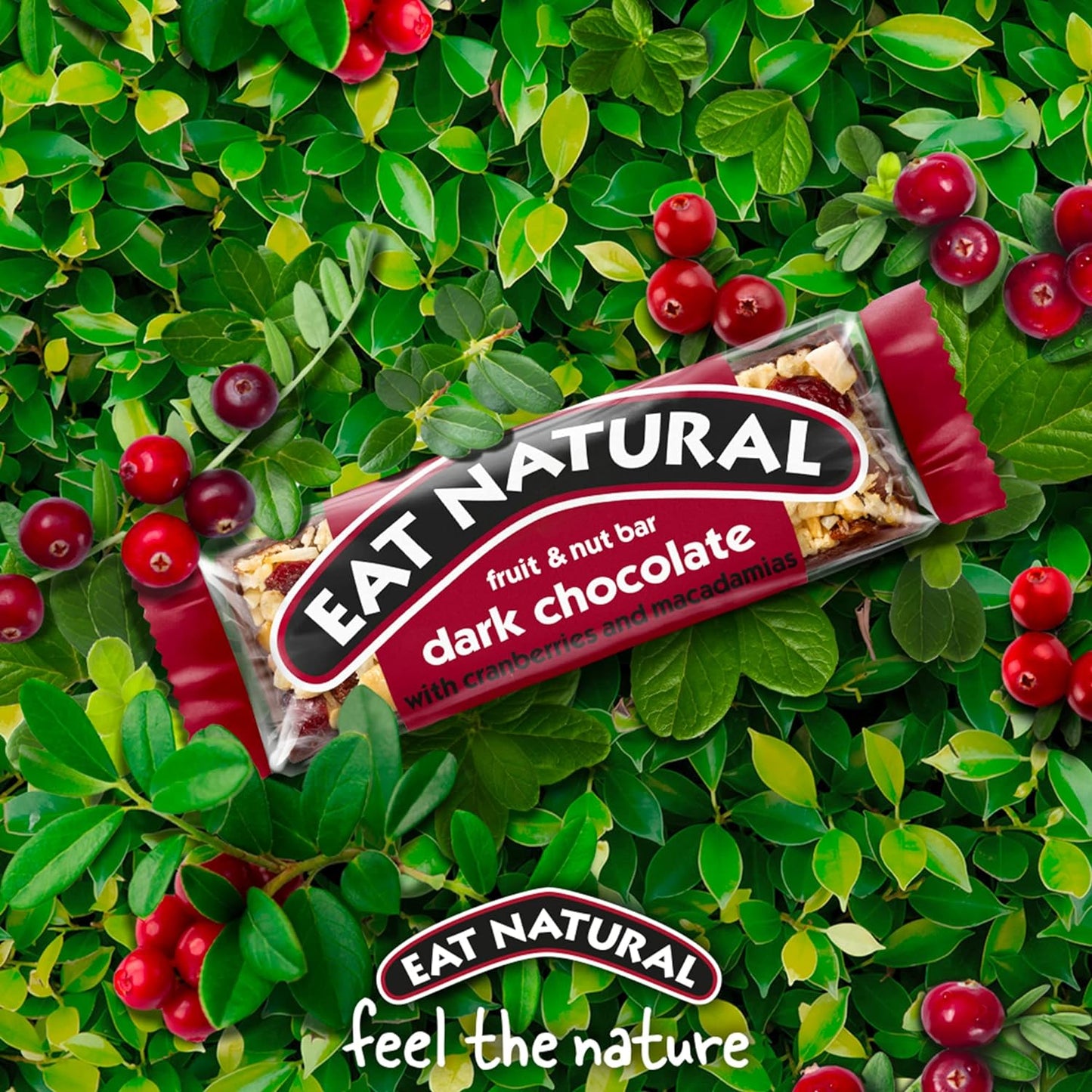Eat Natural Bars, Gluten Free Snack Bars, Dark Chocolate with Cranberries & Macadamias, 45g (Pack of 12) - Chocolate Gifts Heaven