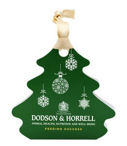Personalised Christmas Tree Decoration - Chocolate Gifts Heaven