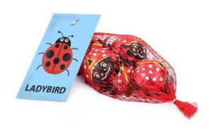 Branded net of chocolate ladybirds - Chocolate Gifts Heaven