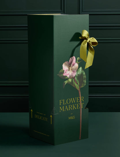 Luxury Rose in Ceramic Pot with Vintage Champagne & Truffles