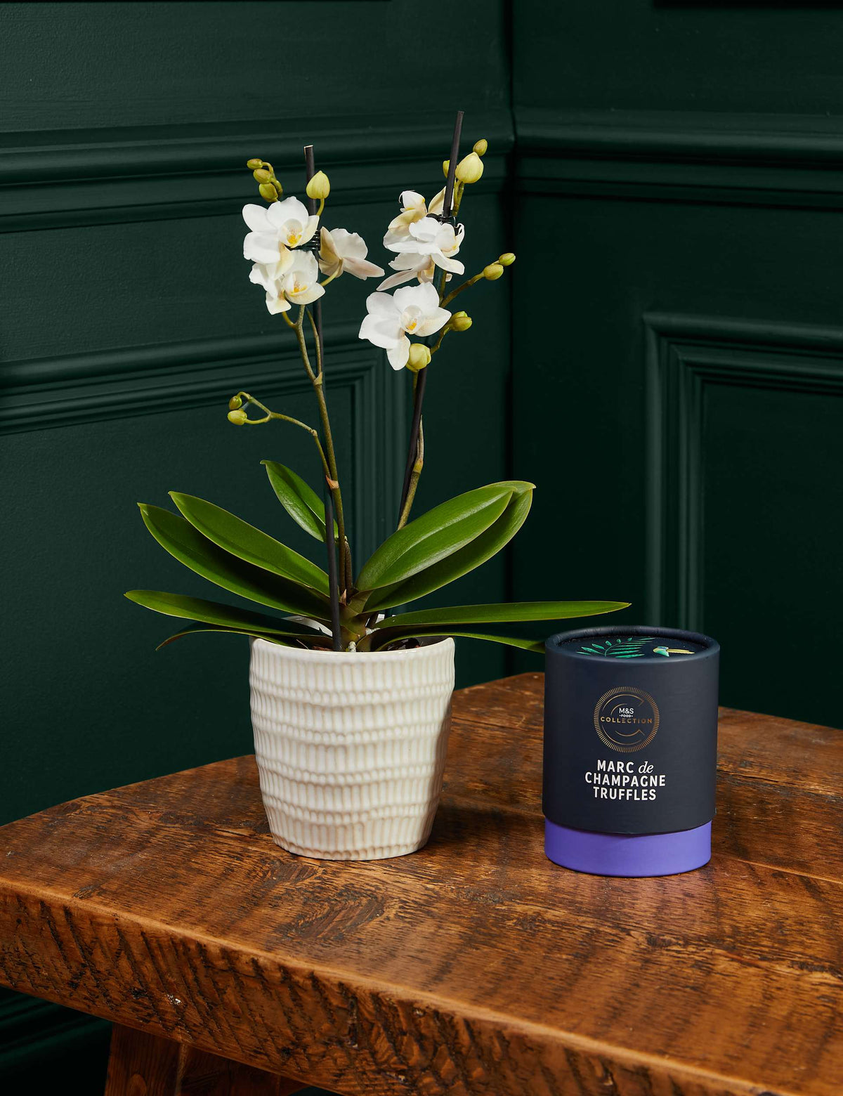 Miniature White Orchid with Marc de Champagne Truffles