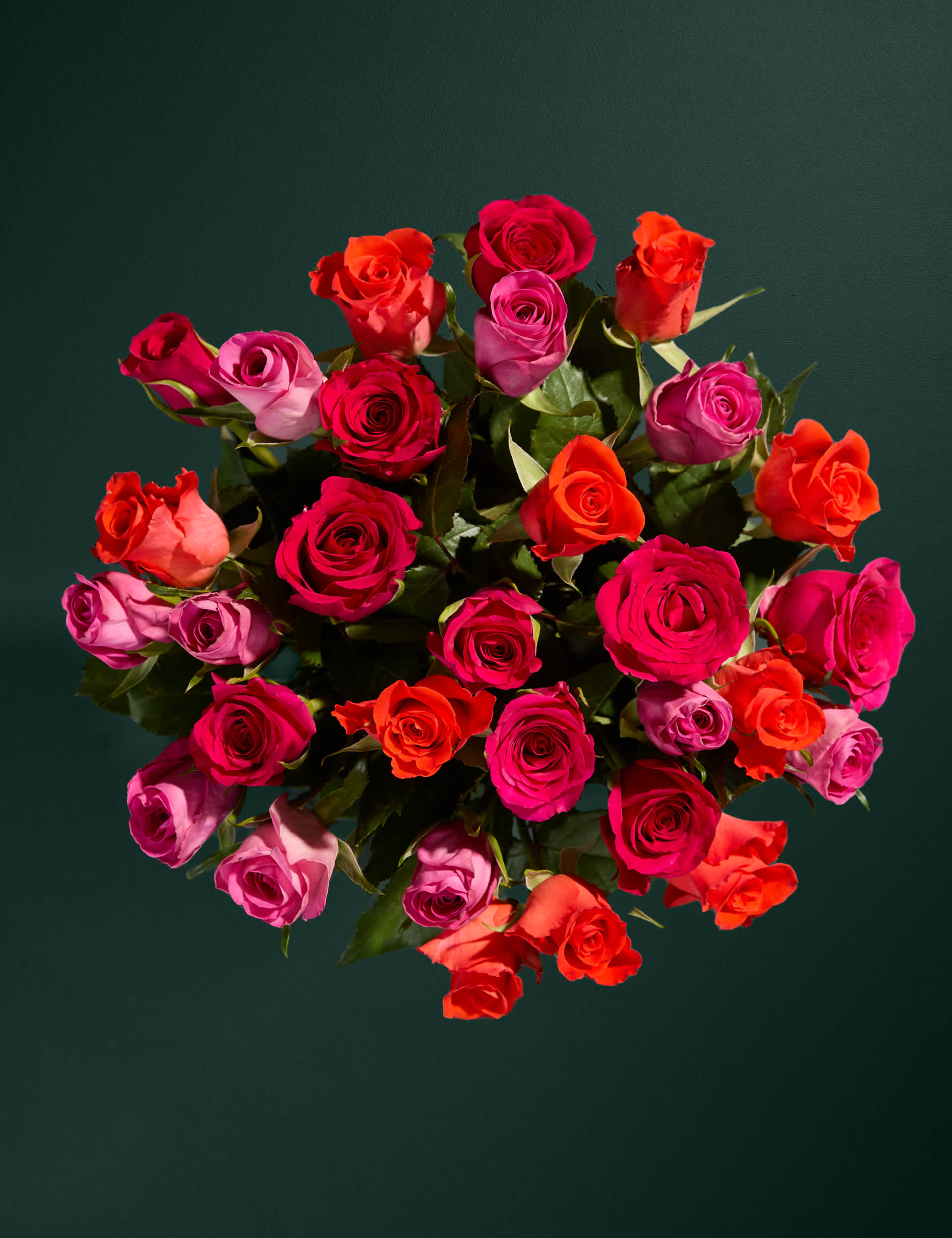 Radiant Rose Abundance with Chocolate Florentines - Chocolate Gifts Heaven