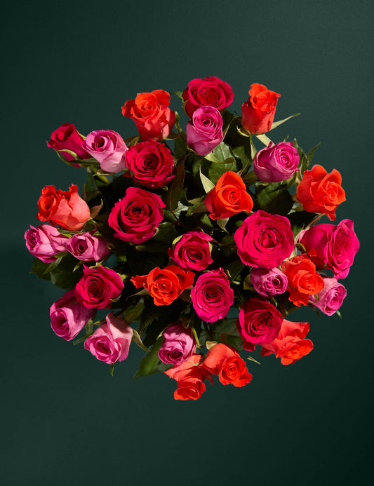 Radiant Rose Abundance with Chocolate Florentines - Chocolate Gifts Heaven