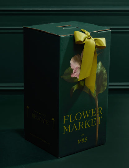 Red Freedom® Rose & Eucalyptus Bouquet with Vintage Champagne