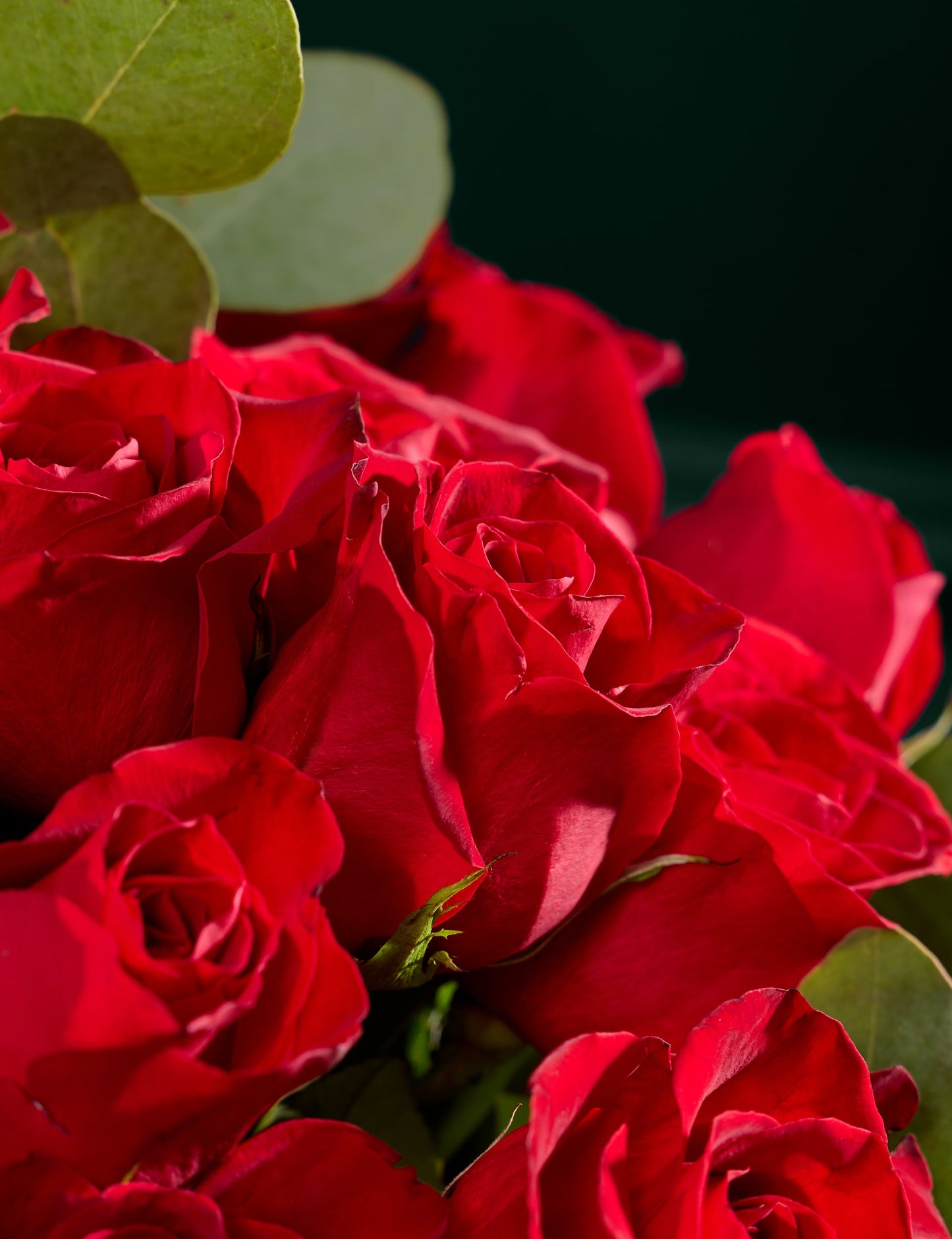 Red Freedom® Rose & Eucalyptus Bouquet with Vintage Champagne