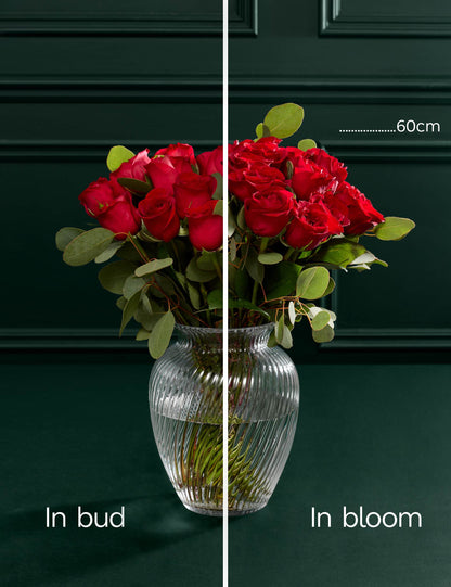 Red Freedom® Rose & Eucalyptus Bouquet with Vintage Champagne