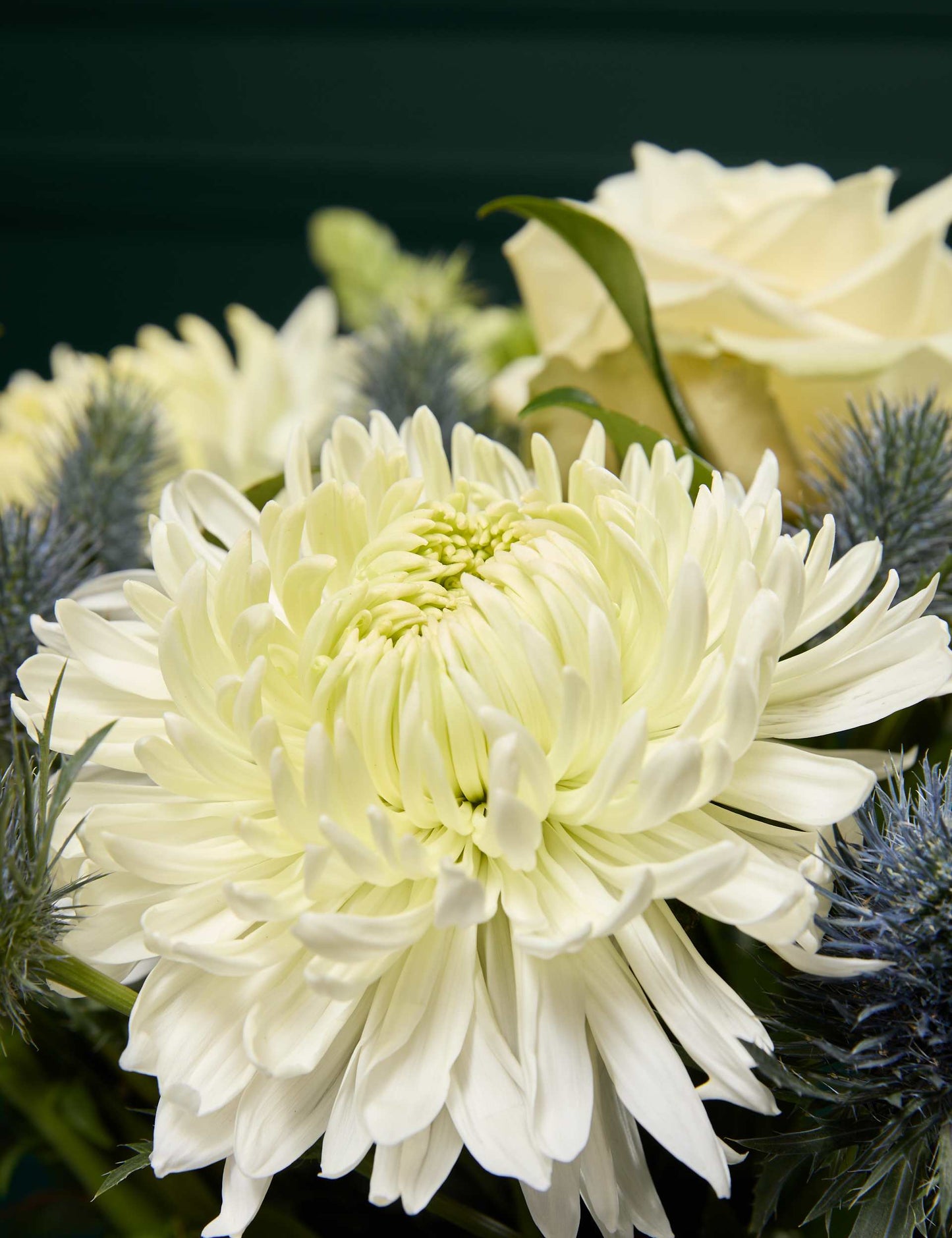 Rose & Thistle Bouquet with Chocolate Florentines - Chocolate Gifts Heaven