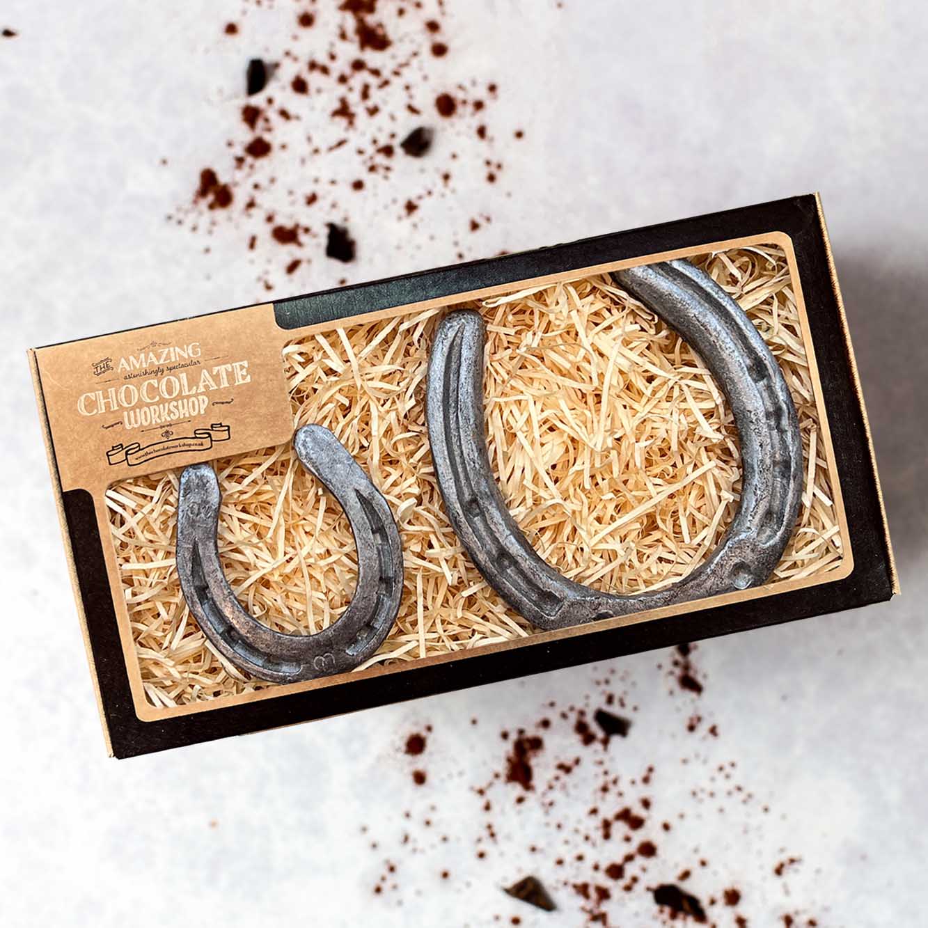 Silver Horseshoe & Pony Shoe Gift Box