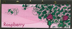 Booklet with raspberry design on a pink background